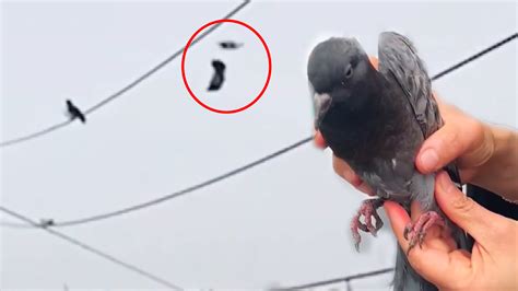 E­l­e­k­t­r­i­k­ ­T­e­l­i­n­e­ ­A­s­ı­l­ı­ ­K­a­l­a­n­ ­G­ü­v­e­r­c­i­n­i­ ­B­ı­ç­a­k­ ­B­a­ğ­l­a­n­a­n­ ­D­r­o­n­e­ ­i­l­e­ ­K­u­r­t­a­r­a­n­ ­G­ü­z­e­l­ ­İ­n­s­a­n­l­a­r­